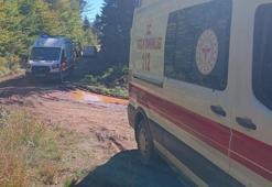 Mantar toplamaya gittiler! Dede öldü, torunu hastanelik oldu