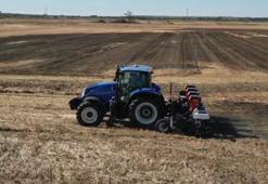 Tekirdağ'da 'sarı gelin' sezonu başladı: Çiftçiler verimliliği artıran yeni ekim teknikleri ile rekor verim aldı