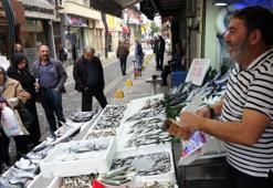 Karadeniz'de palamut bolluğu: Fiyatlar yarı yarıya düştü, tanesi 50 TL'den kapış kapış gidiyor!