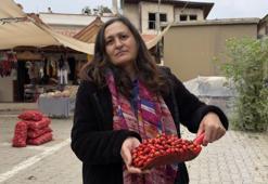 Bereketli hasat zamanı! Fiyatı yarı yarıya düştü