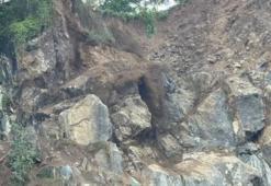 Doğu Karadeniz'de heyelan alarmı: Çay ve fındık bahçeleri tetikliyor, acil tedbir alınmalı!