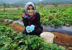 Kahramanmaraş'ta kadın emeğine dev destek: Kızılağaçlı kadınların el emeği lezzetleri yok satıyor!