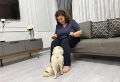 Evlerine cins köpek aldılar, hayatları kabusa döndü