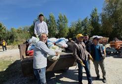 Komşu İnegöl’de 45, Domaniç’te 28 lira: Üretici, düşük fiyattan dertli