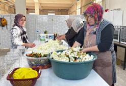 Ata tohumuyla yetiştirip doğal antibiyotik üretiyorlar! Hastalanan bir bardak içiyor: Talep yağıyor
