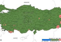 Sıcaklık Analiz Raporu yayımlandı! 56 yılın en sıcak 13’üncü eylül ayı yaşandı