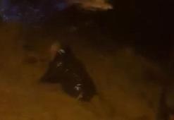 Sel sularına kapılan adam böyle kurtarıldı