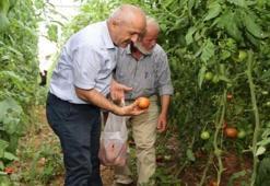 Gebze’de çiftçiye büyük destek! Üreticilerin beklediği yardımlar geldi