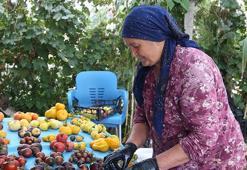 Şehir şehir topladı: 1 milyon paketi Türkiye’ye ücretsiz dağıttı! İçinde 55 farklı çeşit var, kapış kapış gidiyor