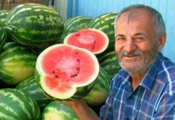 Gaziantep’te 5 bin dönümde yetişiyor! Yurt dışından bile talep yağıyor