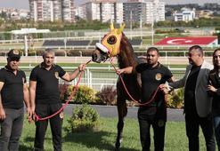 Son şampiyon yeni şampiyonlar yetiştirecek