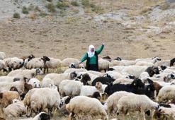 Van'da Türkiye'ye model olabilecek örnek! Kadınlar devlet desteğiyle üretime güç katıyor