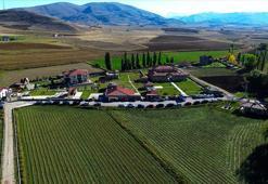 Bayburt'un köyünden Avrupa'ya uzanan müzecilik başarısı! Son 5 yılda 5 ödül kazandı