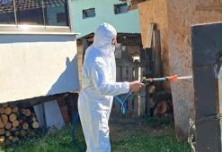 Fındık üreticilerine kahverengi kokarca alarmı! Düzce'de kışlak ilaçlama seferberliği başladı
