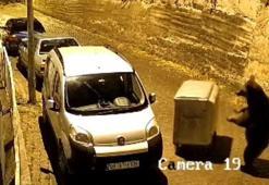Ayının çöp konteyneri ile oyun oynadığı anlar güvenlik kamerasına yansıdı