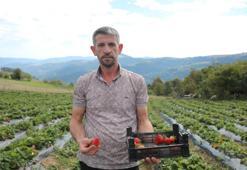 Memleketi Samsun'a döndü, şimdi üretime büyük katkı sağlıyor