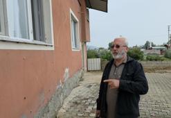 Hatay'da deprem sonrası salyangoz istilası! Vatandaşlar ektikleri sebzeleri yiyemiyor