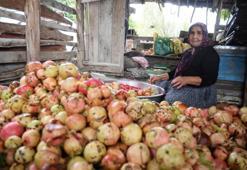 1,5 ton nardan yaklaşık 60 kilo nar ekşisi çıkıyor! El yapımı ürünün kilosunu 750 liraya satıyorlar