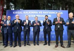 Trabzon Maçka’da üreticiye dev yerel destek: %90 hibeyle 180 yerli koyun dağıtıldı!