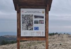 Kastamonu’da doğaseverleri heyecanlandıran proje: Ballıdağ’a yeni parkurlar geliyor