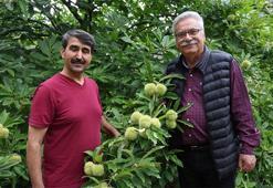 'Yapamazsın' denileni yaptı! Adana'da 18 yıllık deneme zaferle sonuçlandı, şimdi para basıyor