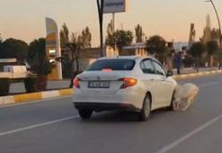 Yola fırlayan 3 keçi aracın çarpması sonucu telef oldu