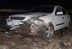 Şarampole devrilen otomobildeki 3 kişi yaralandı