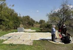 Çermik’te nesilden nesile aktarılan tat: Pestil geleneği yaşatılıyor