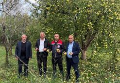 Iğdır'da dolu yağışı üreticiyi vurdu! Tarım arazileri zarar gördü
