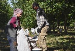 Afyonkarahisar'da yetişiyor, pasta ve tatlı ustaları almak için sıraya giriyor: Köyüne kurduğu tesisle bölge ekonomisinin lokomotifi haline geldi
