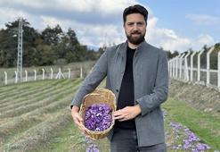 Resmen zengin oldu... Kilosu 1 milyon 450 bin TL! Yapay zeka desteğiyle üretimi katladı: Tam 2 ton!