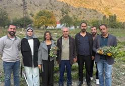 Zap Vadisi'nde mucize deneme: Hakkâri'de 1.350 rakımda yer fıstığı yetiştirildi!