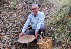 Çayır mantarı toplamaya çıktı, gözlerine inanamadı! '40 yıllık mantarcıyım, ilk kez böyle bir şey görüyorum'