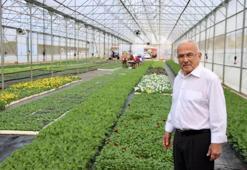 Ordu’da 550 bin çiçek için hazırlık: Kentin dört bir yanına dikilecek