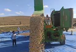 Nevşehir'in eşsiz lezzeti coğrafi işaret tescili aldıktan sonra üretim alanını katladı