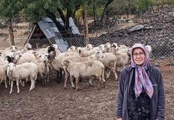 Bolu’da orman köylüsüne müjde! Devlet yüzde 20 hibe ile hayata geçirdi