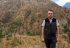 Kahramanmaraş'ta 16 saatte söndürülen yangında 92 hektar orman yok olmuştu! 27 bin fidanla yeniden ağaçlandırıldı,10 yıl sonra eski görünümüne kavuşacak