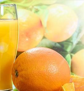 Antalya İçecekleri