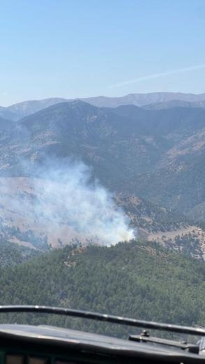 Feke’de orman yangını: Ekipler havadan ve karadan müdahale ediyor