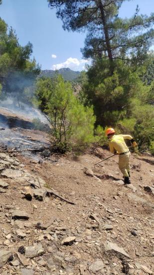 Feke’de orman yangını: Ekipler havadan ve karadan müdahale ediyor