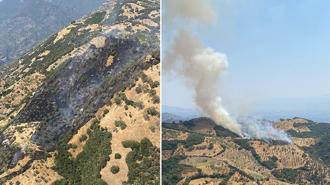 Aydın Efeler'deki yangının sebebi ortaya çıktı! Gelin, kayınpedere kızdı ateşi yaktı