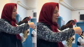 Giresun'da yeni 'davuk' vakası! Boğazına iğne kaçan tavuk hastanede ameliyata alındı