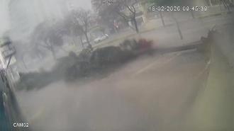 Adana'da fırtına dev ağaçları kökünden söktü, o anlar kameraya yansıdı