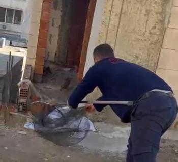 İtfaiye asansörde kalan kedi için seferber oldu!