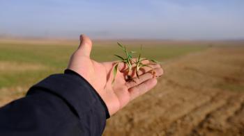 Konya Ovası’nda son yağışlar yüz güldürdü