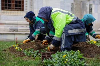Bursa, kış çiçekleriyle bahar havası yaşıyor