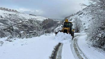 Elazığ, Siirt, Batman, Şırnak ve Bingöl'de 746 yerleşim yerine ulaşım sağlanamıyor