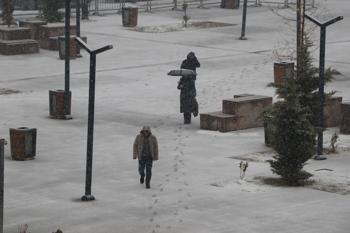 Van'da kar ve sis etkili oldu; 141 yerleşim yerine ulaşım sağlanamıyor