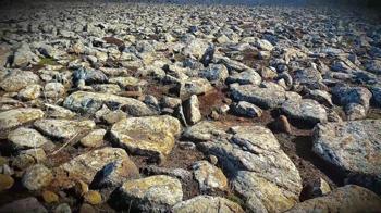 Şanlıurfa’da volkanik bazalt taşlarının altında cephanelik ele geçirildi: 8 gözaltı