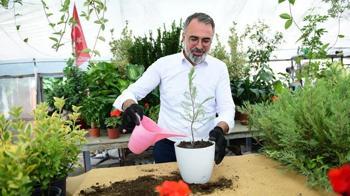 Kestel süs bitkilerinde dünya devlerine rakip oldu!